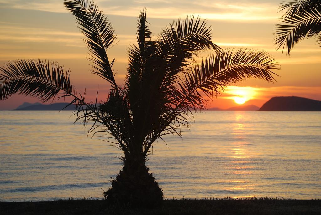 Club Blue White All Inclusive Turgutreis Kültér fotó