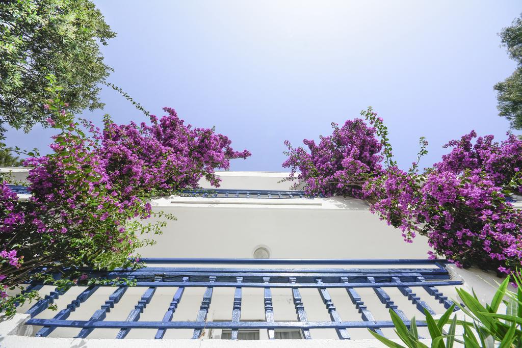 Club Blue White All Inclusive Turgutreis Kültér fotó